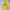 Nike Vintage Hoody Pria yellow photo 1
