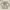 Budling Mezzo Piano Sweater + Dress Pressbody With Lace photo 4