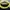 Hysteric Mini  photo 4