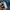 The North Face Gorpcore Waterproof Jacket photo 8