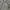 hoodie burberry london england photo 5