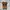 timberland boots icon photo 3