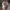 CAP REALTREE PINK BY KATI
 photo 3