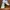 Sepatu Trail Run Hiking Sport Pria Salomon X Mission 4 Suede photo 3