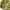 Beanie hat Le Coq Sportif photo 2