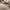 Vintage Ropehat Duck Unlimited photo 5