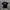 T-Shirt Creature SkateBoard  photo 1