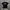 T-Shirt Creature SkateBoard 