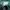 Nike V2K Running Dark Green Swoosh Grey photo 7