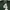 Reebok green bay packers nfl jersey shirt photo 3