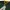 Reebok green bay packers nfl jersey shirt photo 2