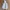 Uniqlo Sport Utility Ultra Light Windbreakers Jacket Hooded photo 3