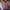 COLORBOX Lolita Coquette Crop Top Wanita Pink