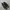 salomon black silver photo 3