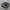 salomon black silver photo 1