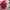 Crewneck Parasut by The Bretton Woods  photo 3