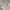 Top lace cream photo 4