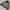 Pilot Jacket by Beans House Military photo 3