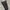 cargo pants uniqlo dongker straight  photo 3