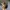 TRACKER REALTREE BY PORT AUTHORITY 

 photo 3