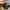 TRUCKER CAMO LOGO BORDIR FOXPRO BY FOXPRO

 photo 4