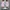 Staccato Minimalist Casual Flat Wanita pink photo 2