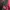 Norton camo puffer kids photo 6