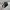 Vintage Streetwear Hat Pria black photo 2