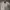 Dickies Jacket Woman photo 1