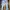 Vintage Wide Leg Jeans Wanita Blue