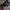 WAIST BAG GENUINE LEATHER | LUXURY | photo 5