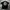 TSHIRT STUSSY CORP