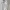 Forever 21 Streetwear Vintage Hoody Pria White Black