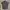 Workshirt  photo 6
