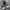 Sepatu Converse 70’s Low Black White photo 6