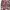 Punt roma longsleeve art graphic luxury brand photo 3