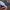 Carhartt Streetwear Sweatshirt Pria multicolor photo 5