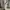 Baggy Sweatpants Grey photo 6