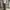 Baggy Sweatpants Dark Grey photo 6