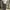 Baggy Sweatpants Dark Grey photo 7