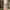 Baggy Sweatpants Dusty Pink Stripes photo 5