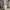 Baggy Sweatpants Blank photo 6