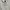 Superdry Casual Hoody Pria gray photo 2