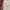 Vintage Goodenough painter pants photo 6