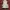 Vintage y2k  vache skull fullzipper photo 3