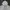 Casual Puffer jacket Pria white black photo 2