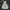 Casual Puffer jacket Pria white black photo 1