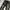 Buzzspunky Ripped Fadding Jeans Pant