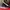 Air jordan 1 high Black Gym red ( black satin ) photo 2