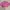 Knitwear crop top (pink) photo 1